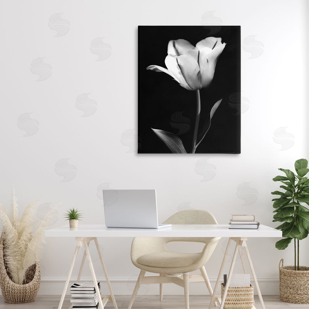CAD Designs Modern Tulip Stark Contrast Printed Wall Art in Room