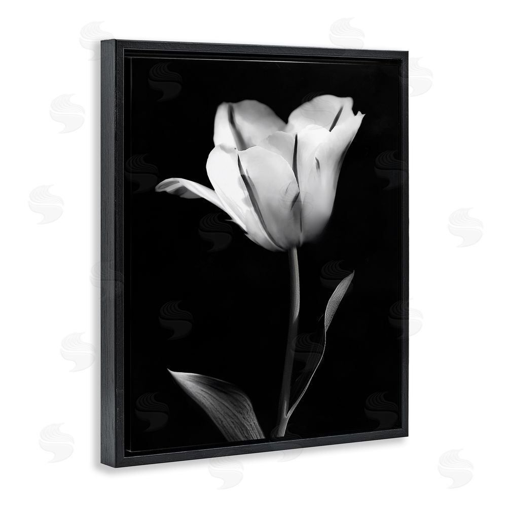 CAD Designs Modern Tulip Stark Contrast Black Floating Frame Canvas Wall Art Print