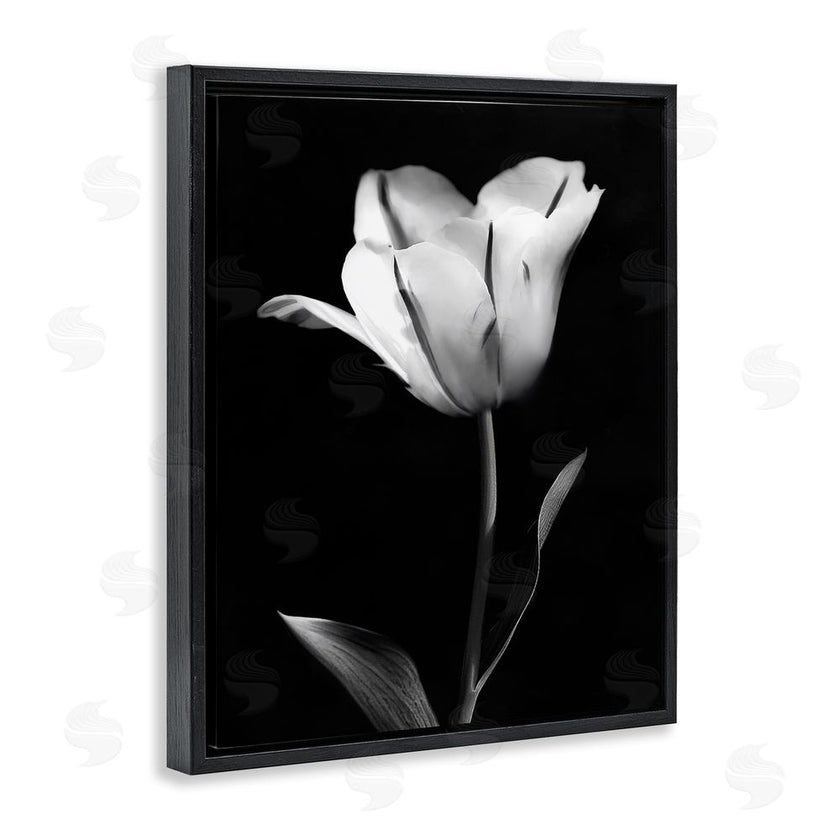 CAD Designs | Modern Tulip Stark Contrast
