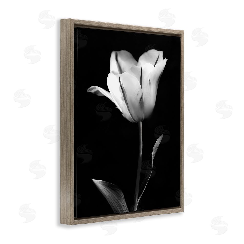 CAD Designs Modern Tulip Stark Contrast Brown Floating Frame Canvas Art Print