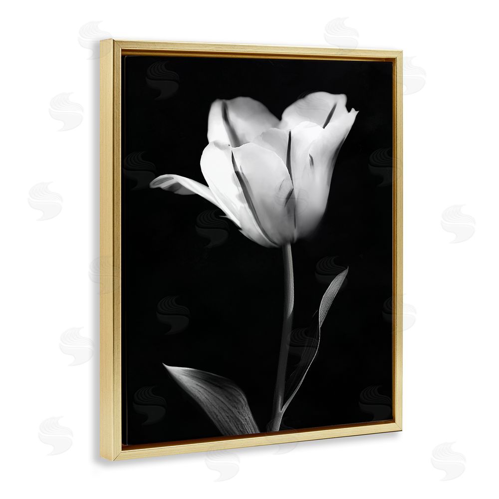 CAD Designs Modern Tulip Stark Contrast Gold Floating Frame Canvas Art Print