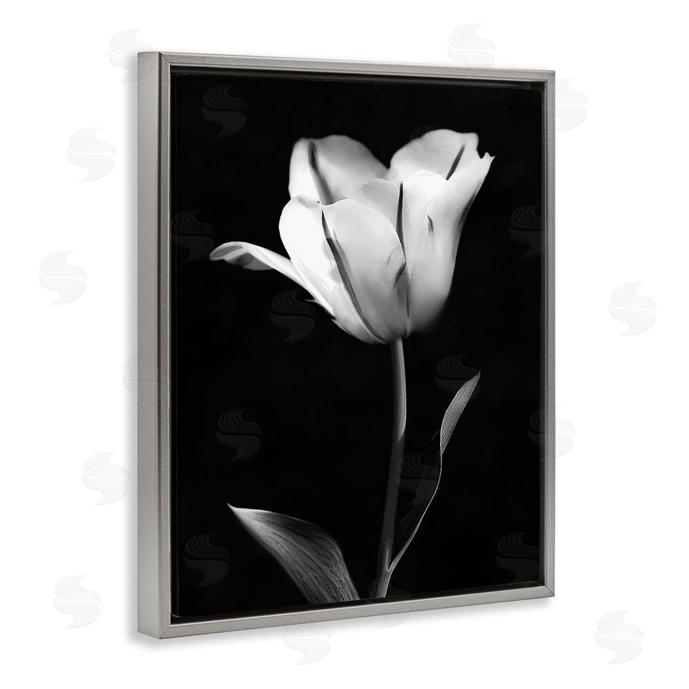 CAD Designs Modern Tulip Stark Contrast Gray Floating Frame Canvas Art Print