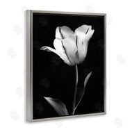 CAD Designs | Modern Tulip Stark Contrast