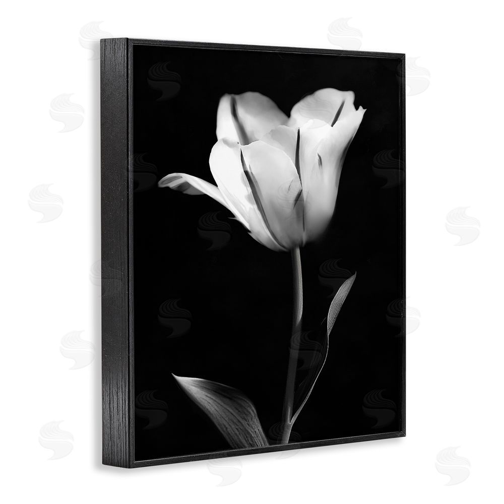 CAD Designs Modern Tulip Stark Contrast Black Framed Giclee Art Print