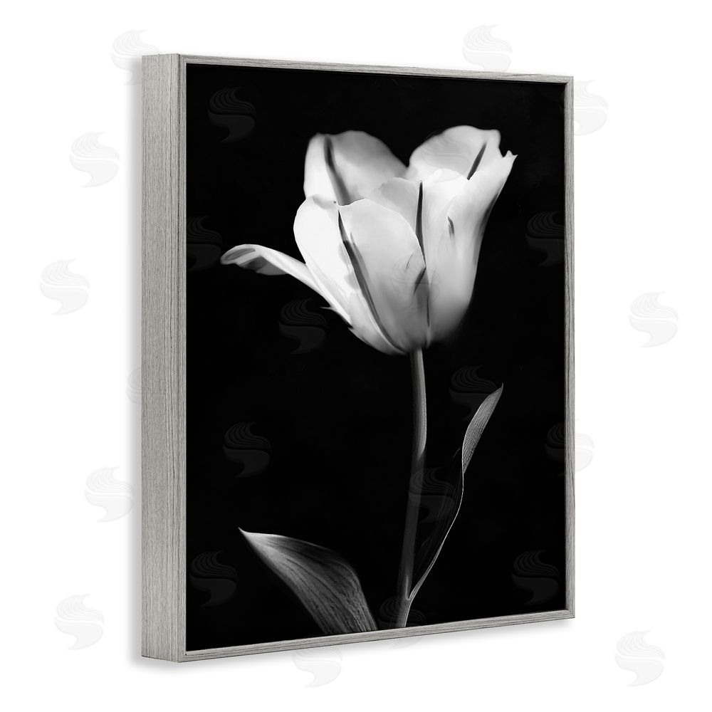 CAD Designs Modern Tulip Stark Contrast Gray Framed Giclee Art Print