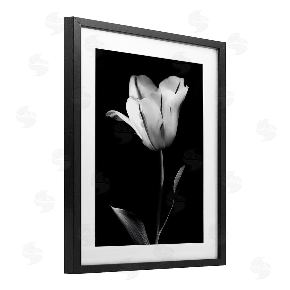 CAD Designs Modern Tulip Stark Contrast Black Framed Print Under Glass Art