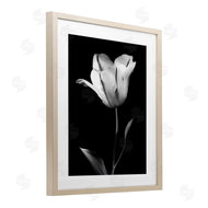 CAD Designs | Modern Tulip Stark Contrast