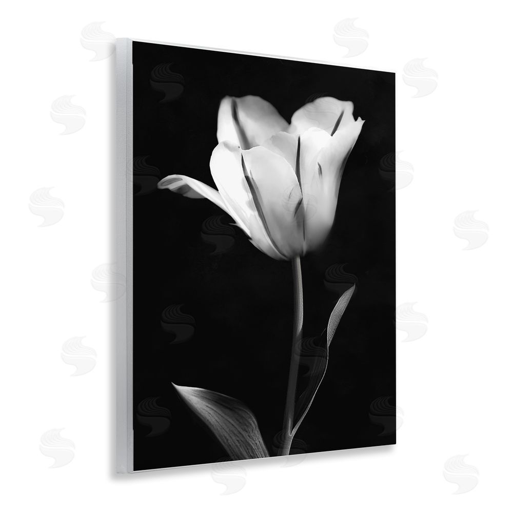 CAD Designs Modern Tulip Stark Contrast Wall Plaque Art Print