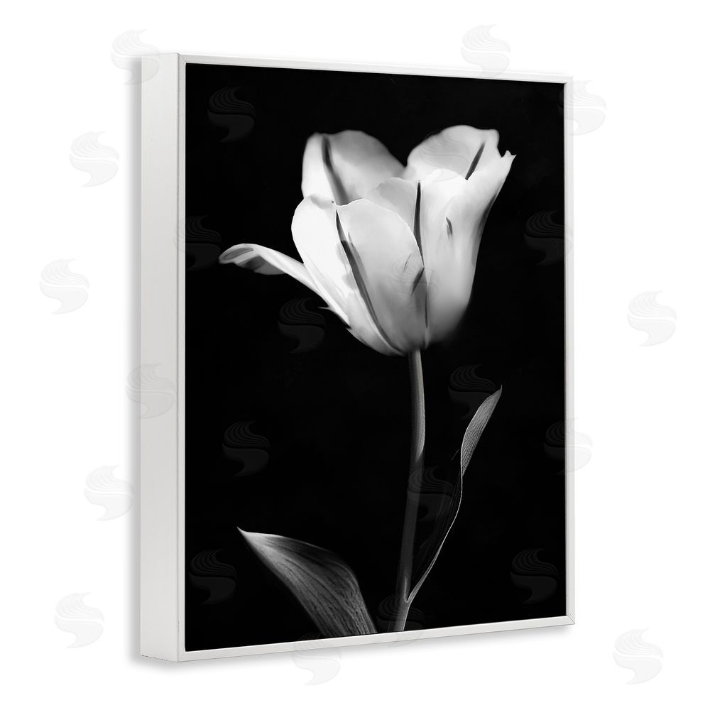 CAD Designs Modern Tulip Stark Contrast White Frame Giclee Art Print