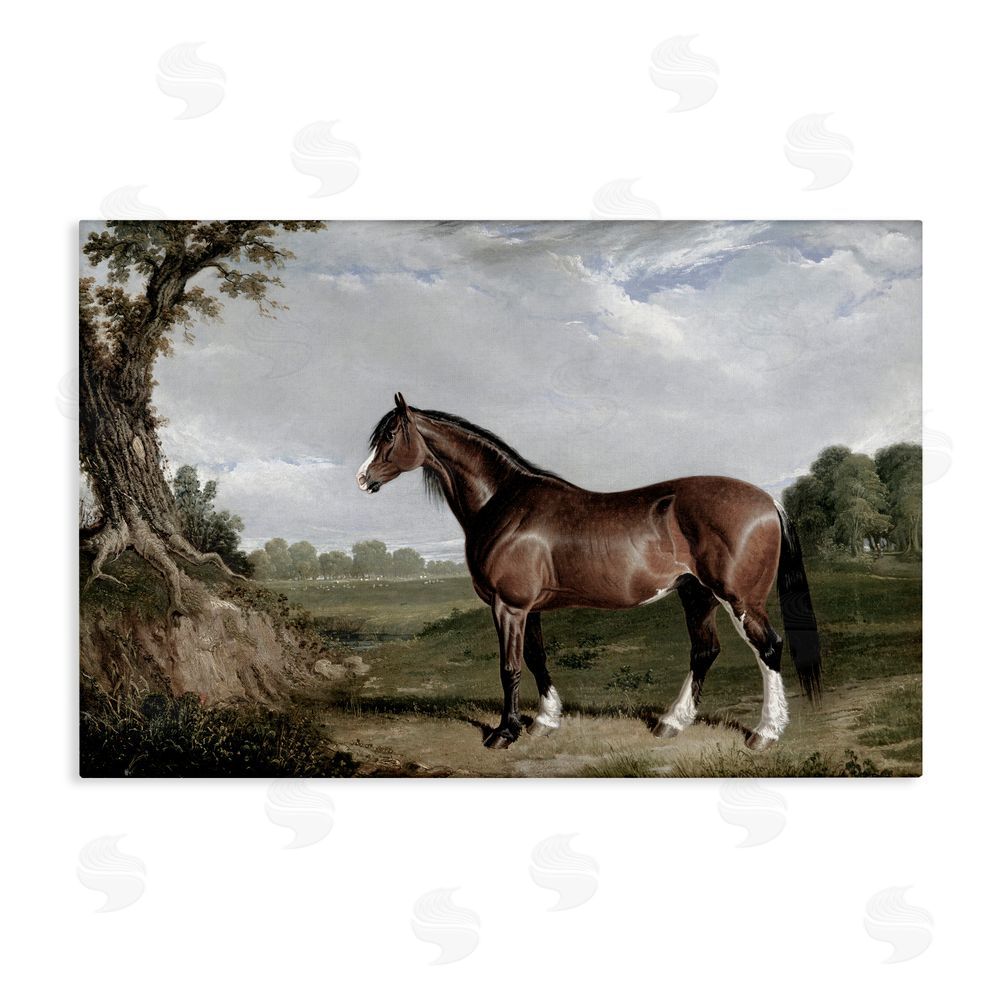 Corinne Haig Majestic Equine Nature Portrait Canvas Wall Art Print