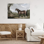 Corinne Haig | Majestic Equine Nature Portrait