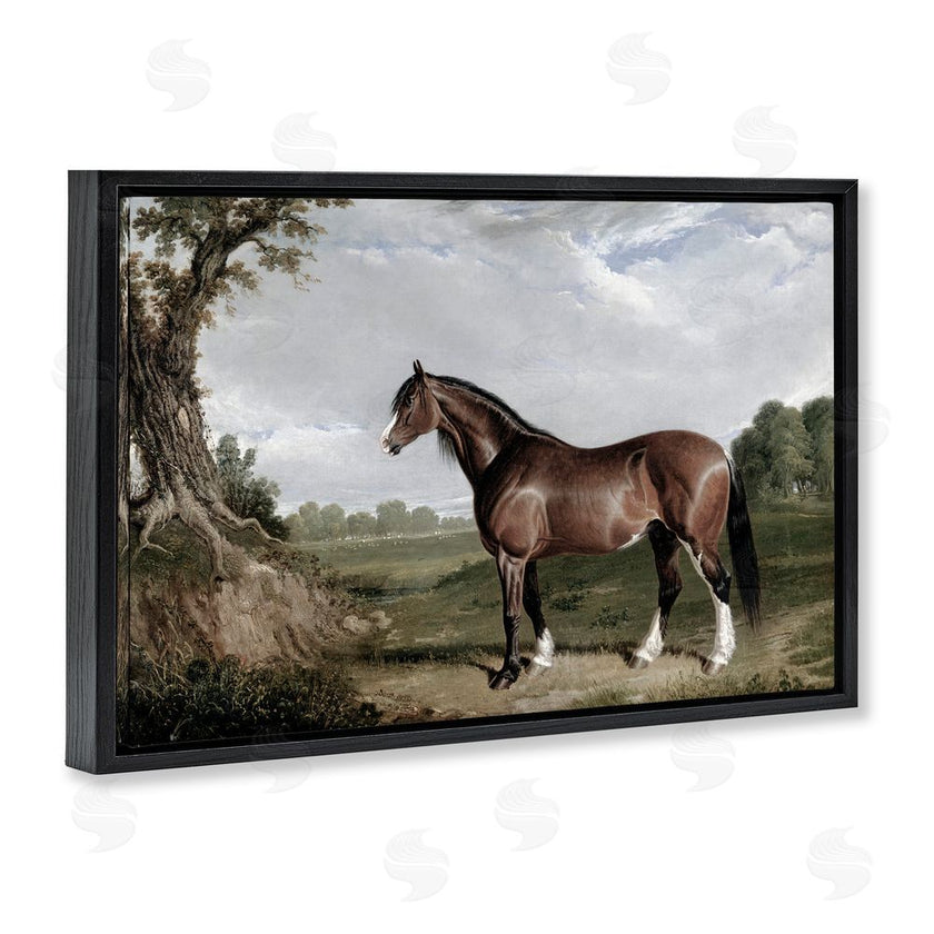 Corinne Haig | Majestic Equine Nature Portrait