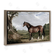 Corinne Haig | Majestic Equine Nature Portrait