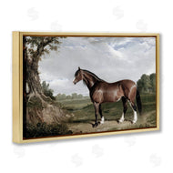 Corinne Haig | Majestic Equine Nature Portrait