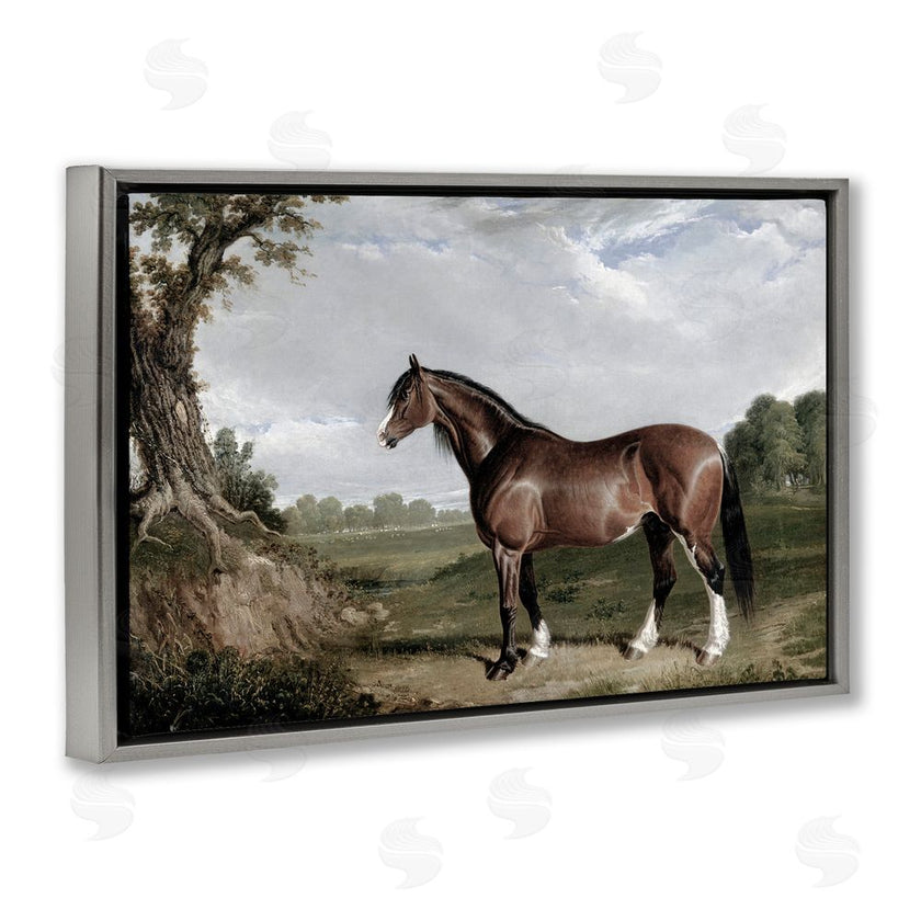 Corinne Haig | Majestic Equine Nature Portrait