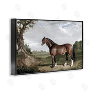 Corinne Haig | Majestic Equine Nature Portrait