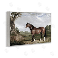 Corinne Haig | Majestic Equine Nature Portrait