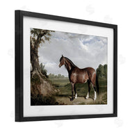 Corinne Haig | Majestic Equine Nature Portrait