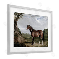 Corinne Haig | Majestic Equine Nature Portrait