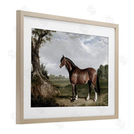 Corinne Haig | Majestic Equine Nature Portrait