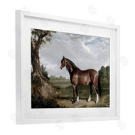 Corinne Haig | Majestic Equine Nature Portrait