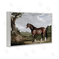 Corinne Haig | Majestic Equine Nature Portrait