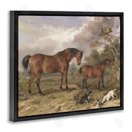 Corinne Haig | Wild Dogs & Horses Traditional