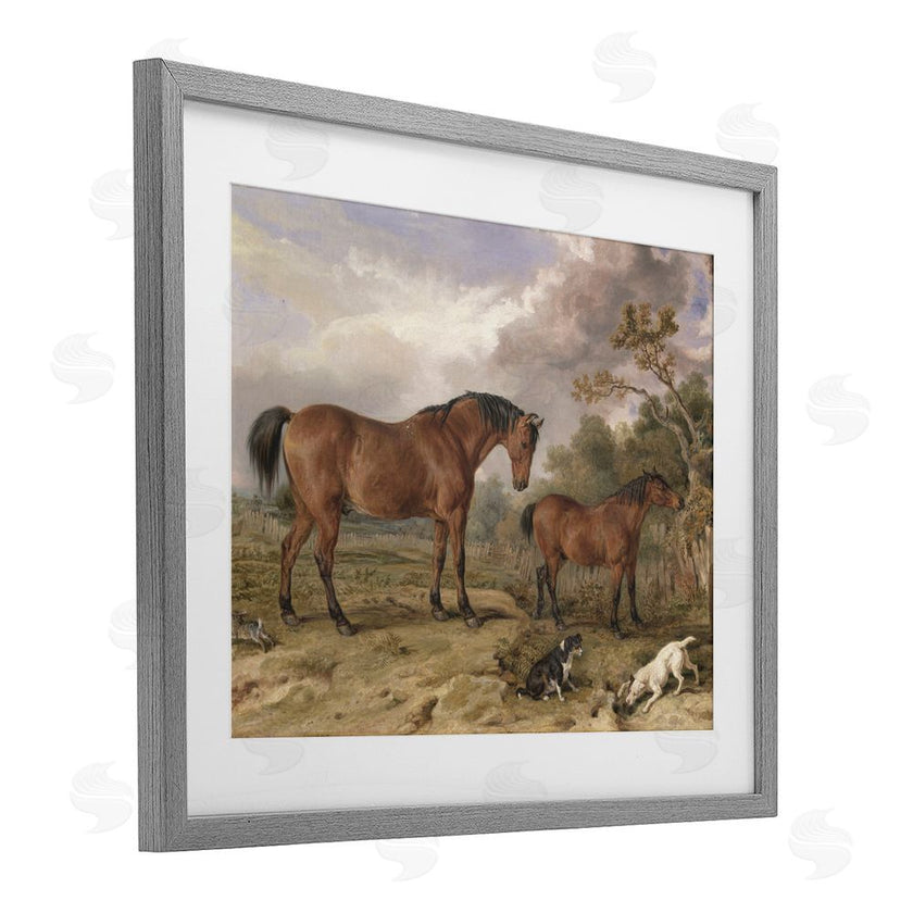 Corinne Haig | Wild Dogs & Horses Traditional