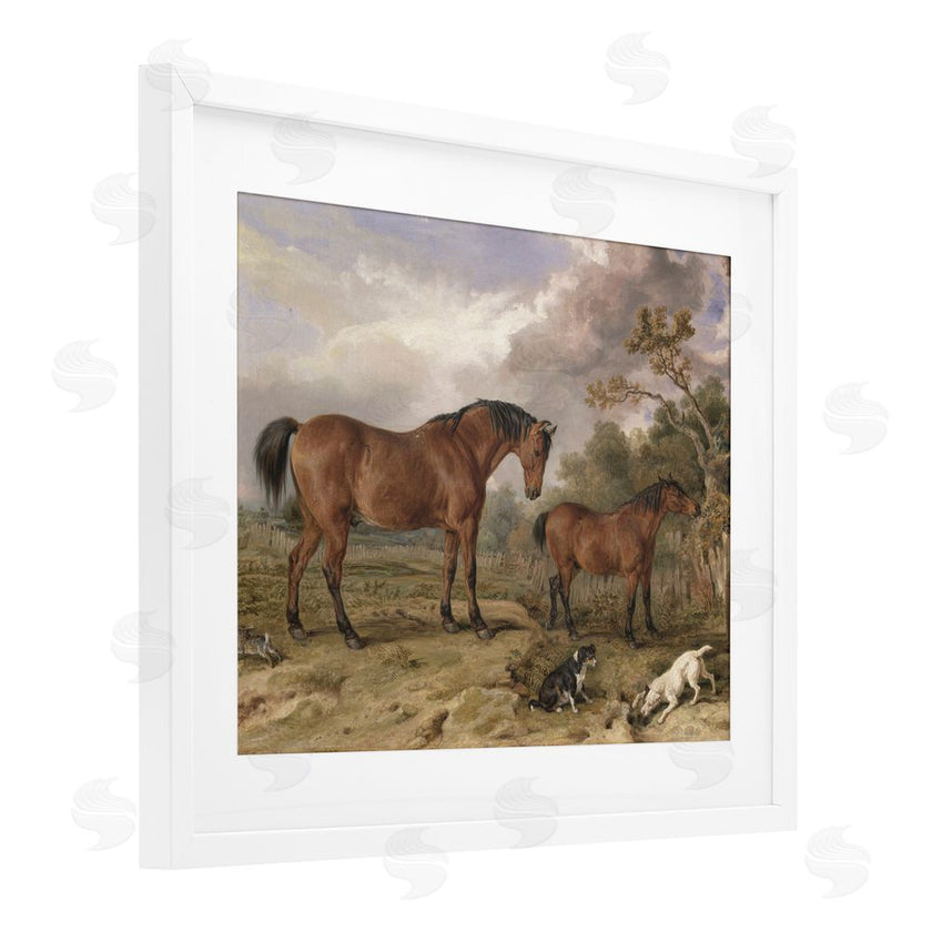 Corinne Haig | Wild Dogs & Horses Traditional