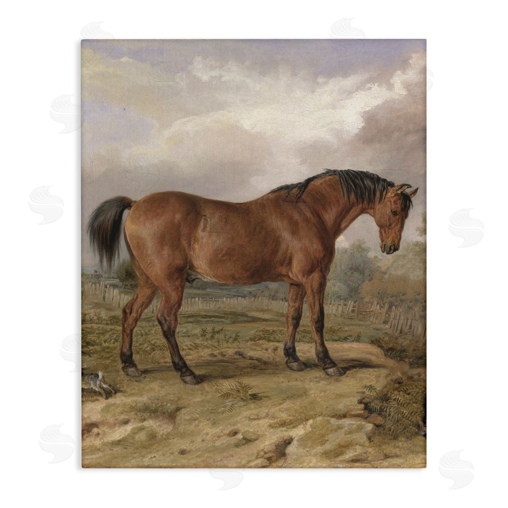 Corinne Haig Horse & Hare in Nature Canvas Wall Art Print