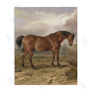 Corinne Haig | Horse & Hare in Nature