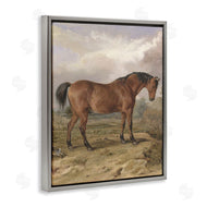 Corinne Haig | Horse & Hare in Nature