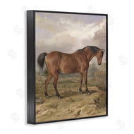 Corinne Haig | Horse & Hare in Nature