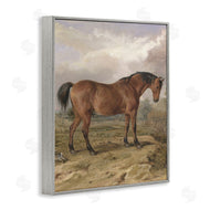 Corinne Haig | Horse & Hare in Nature