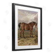 Corinne Haig | Horse & Hare in Nature