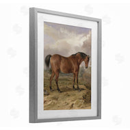 Corinne Haig | Horse & Hare in Nature