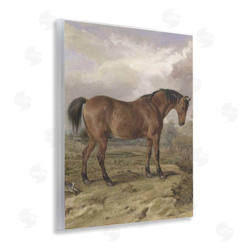 Corinne Haig | Horse & Hare in Nature