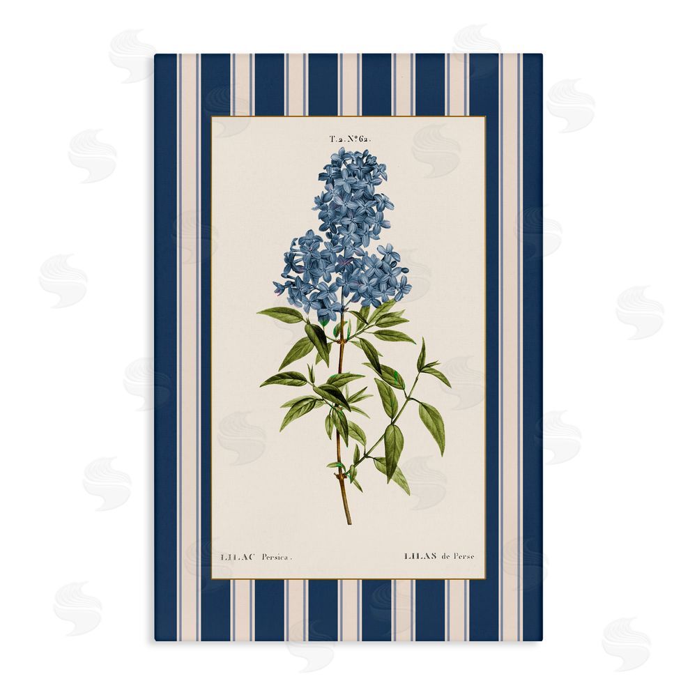 Corinne Haig Lilac Study Over Stripes Canvas Wall Art Print