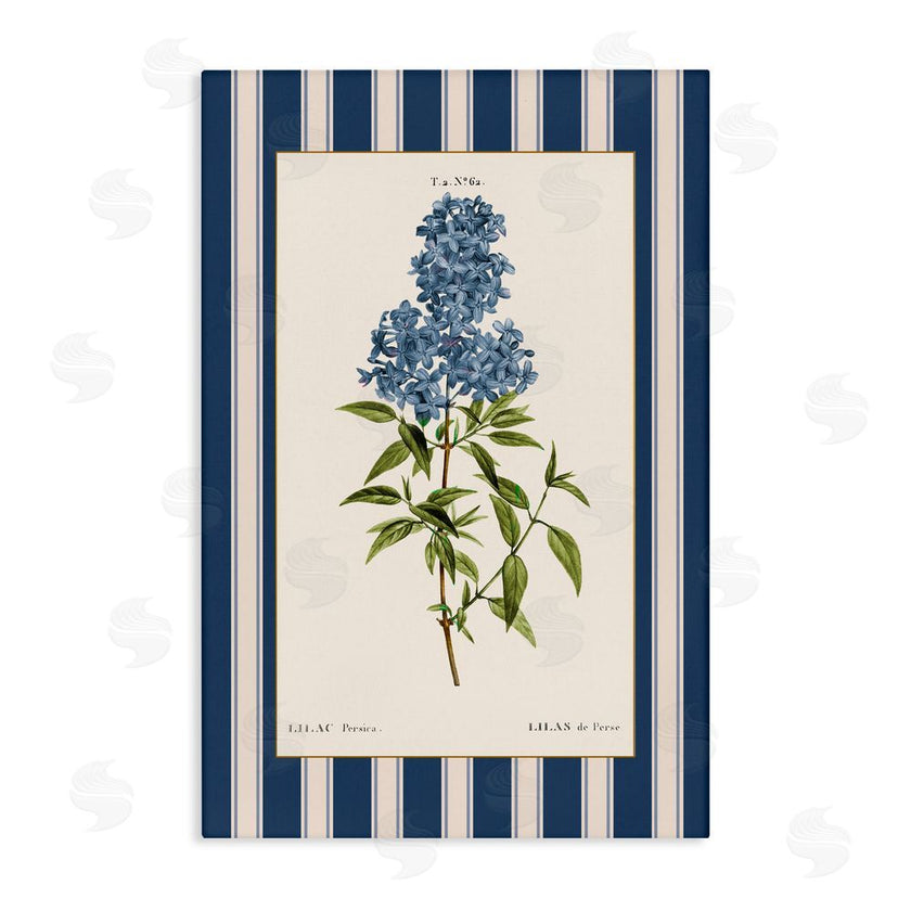 Corinne Haig | Lilac Study Over Stripes