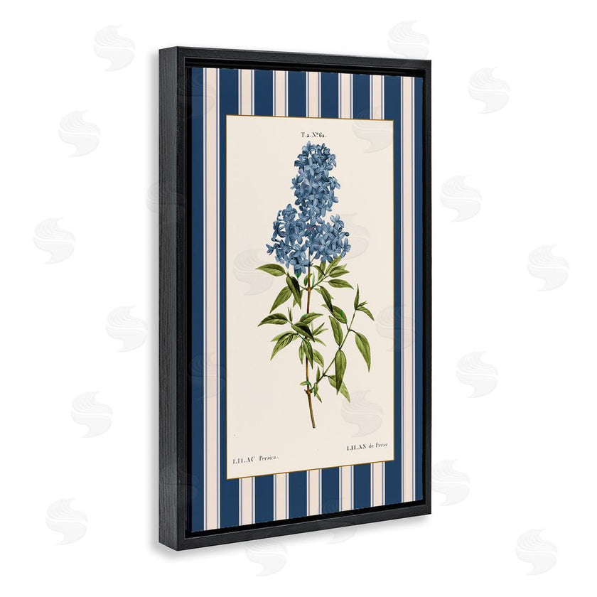 Corinne Haig | Lilac Study Over Stripes