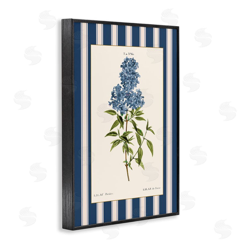 Corinne Haig | Lilac Study Over Stripes