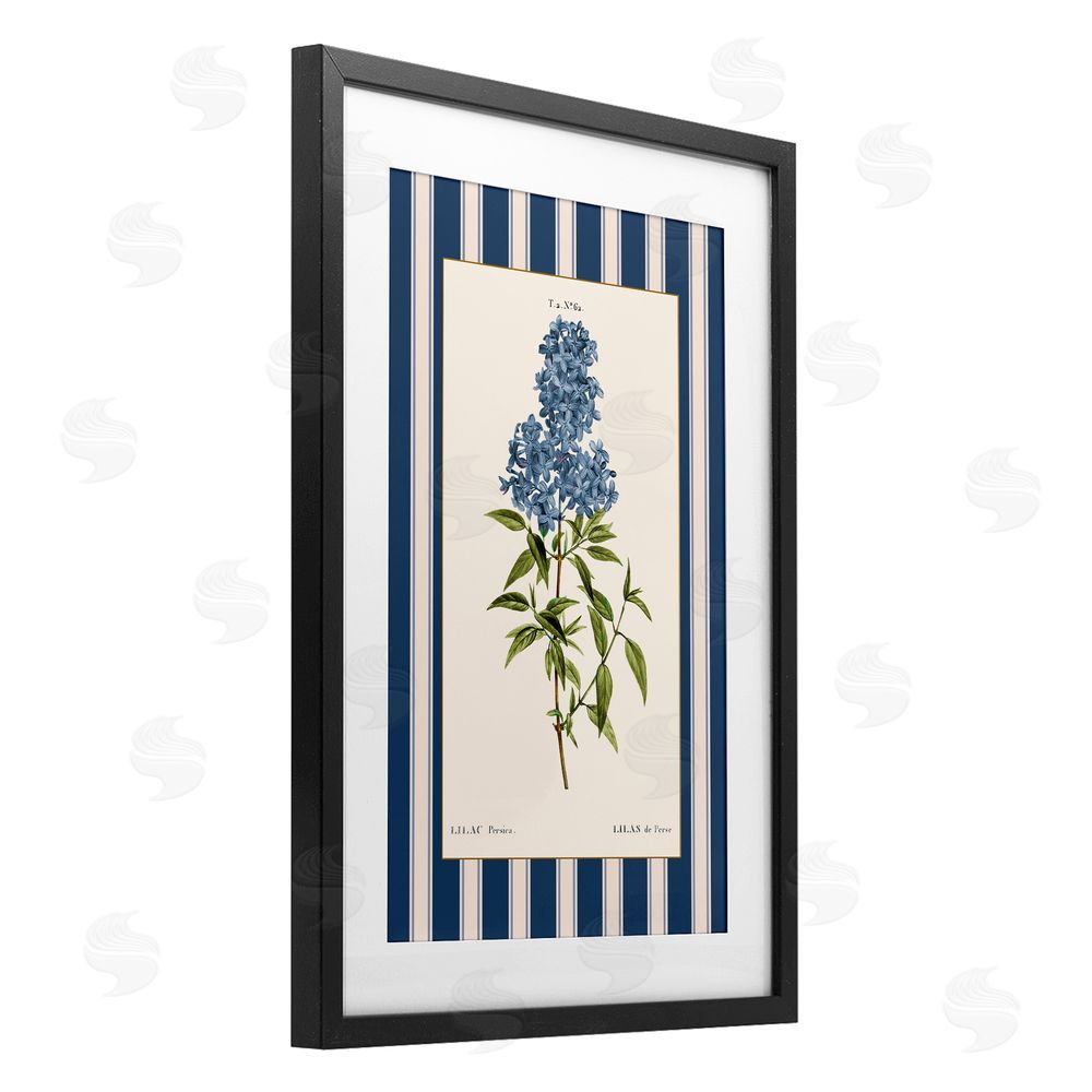 Corinne Haig Lilac Study Over Stripes Black Framed Print Under Glass Art