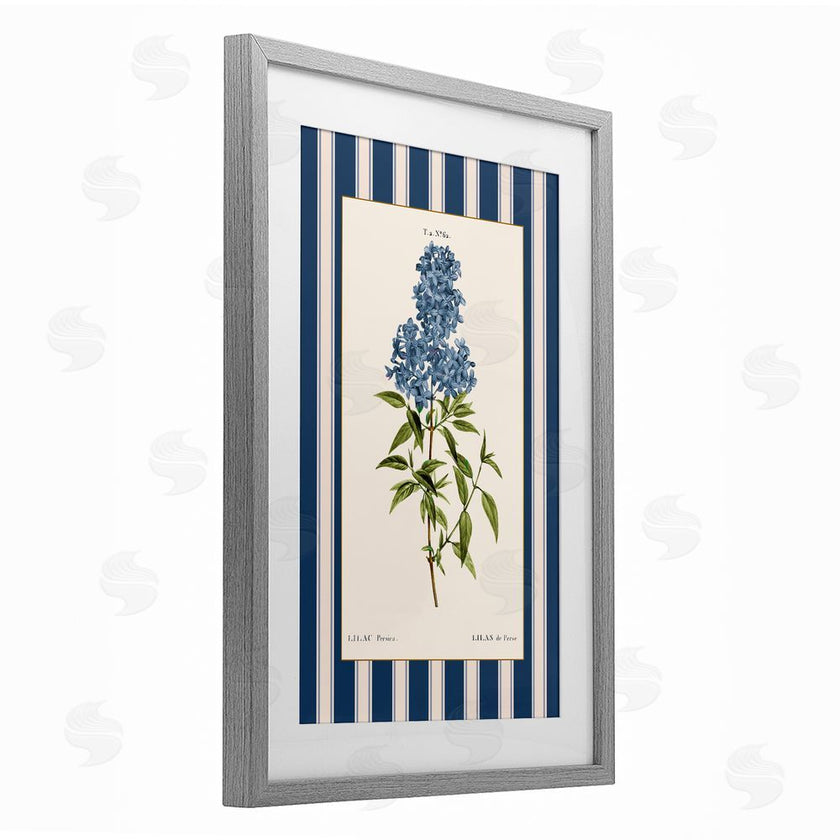 Corinne Haig | Lilac Study Over Stripes