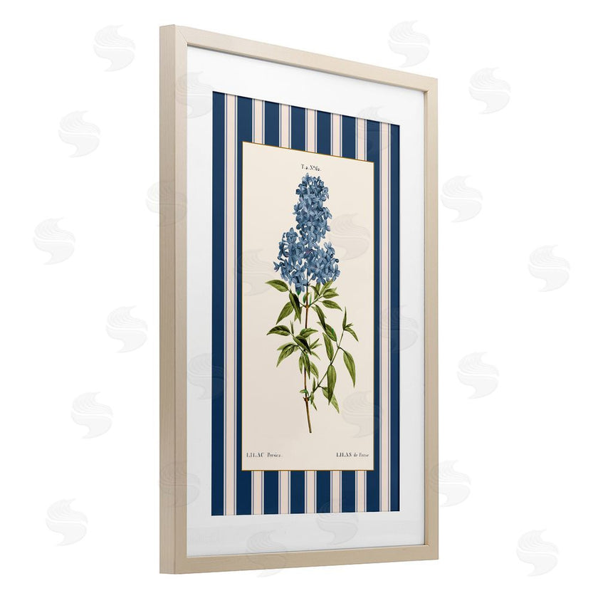 Corinne Haig | Lilac Study Over Stripes