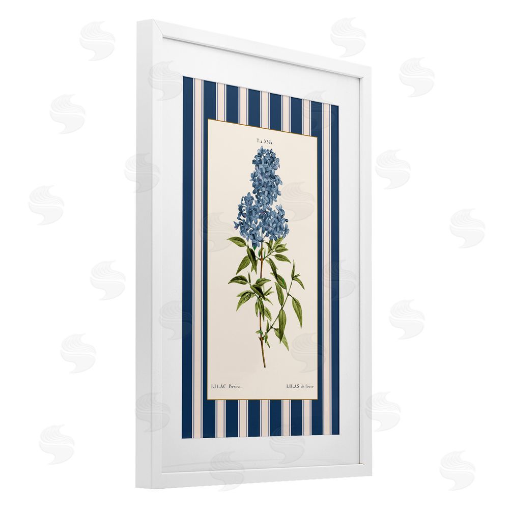 Corinne Haig Lilac Study Over Stripes White Framed Print Under Glass Art
