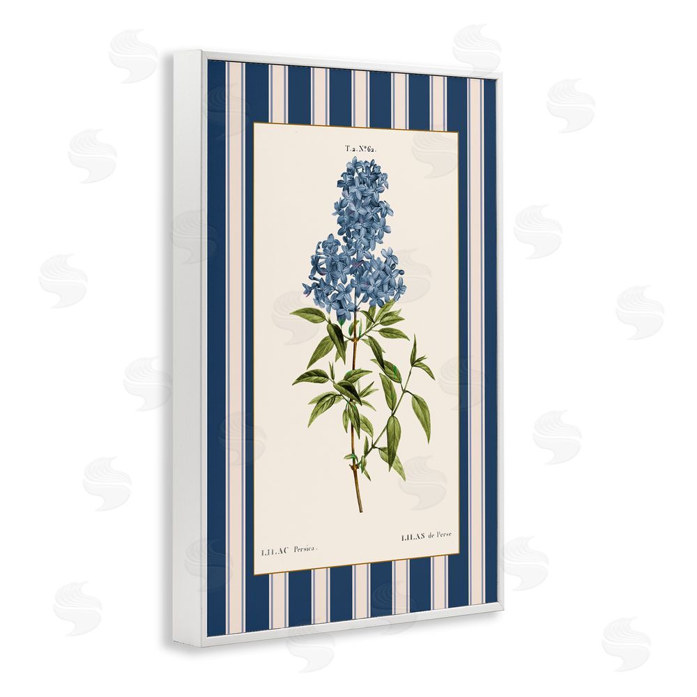 Corinne Haig Lilac Study Over Stripes White Frame Giclee Art Print