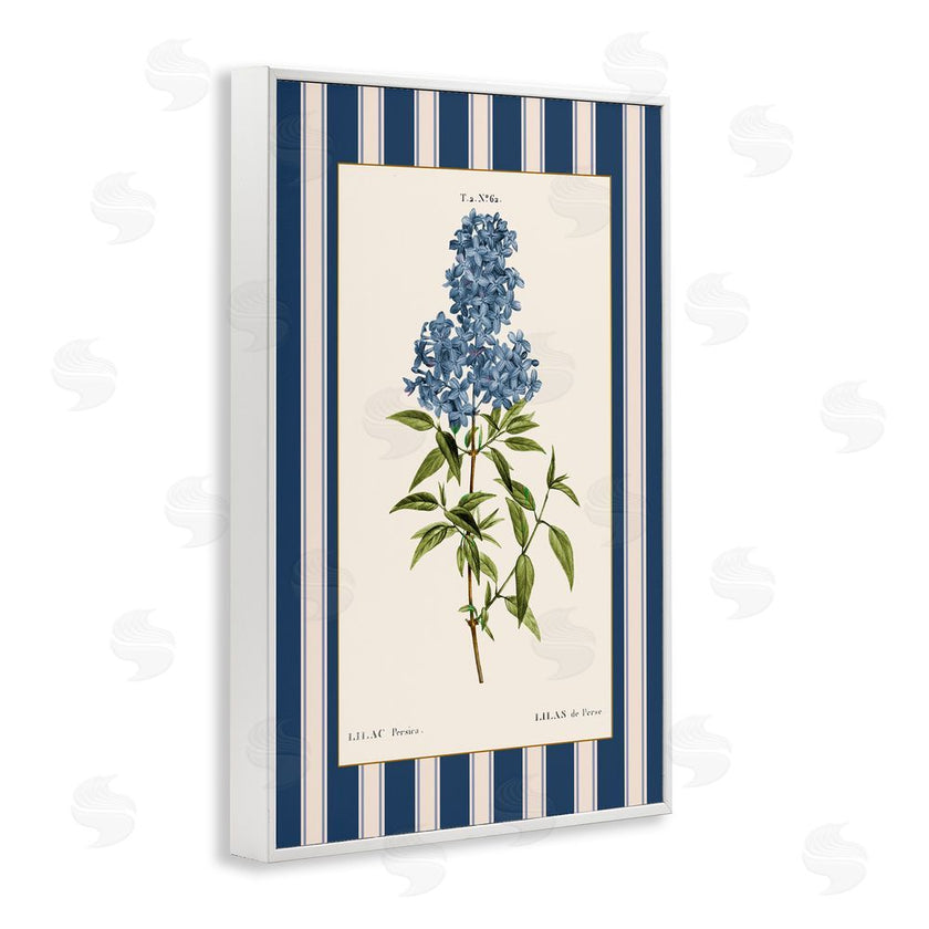Corinne Haig | Lilac Study Over Stripes