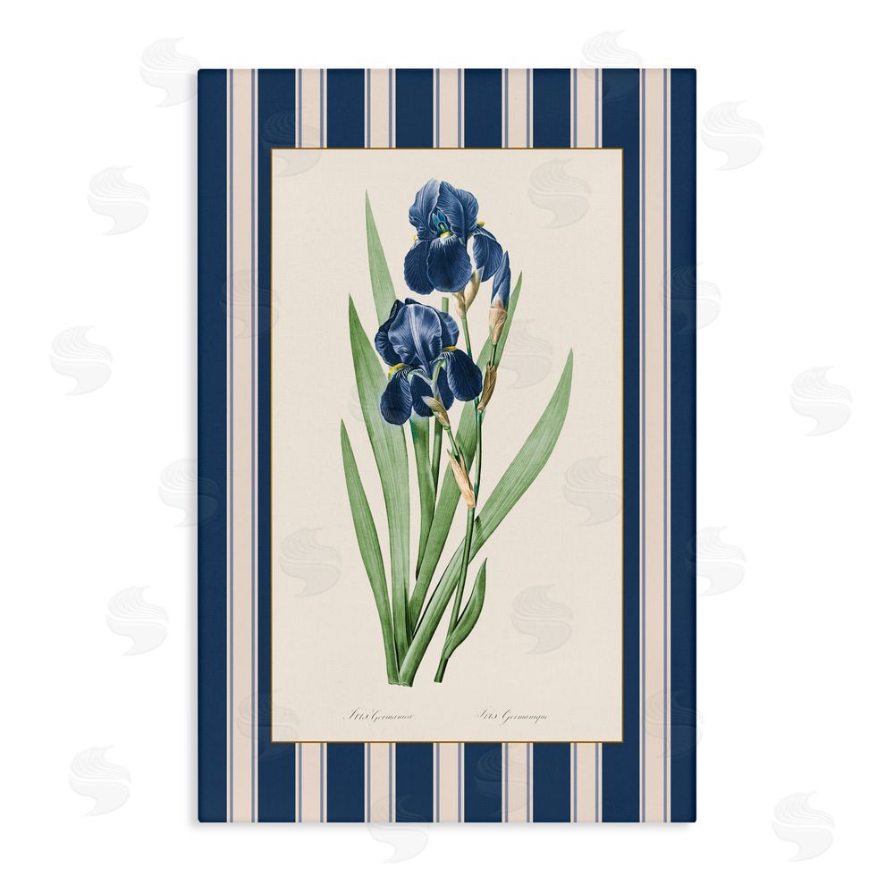 Corinne Haig Iris Study over Stripes Canvas Wall Art Print