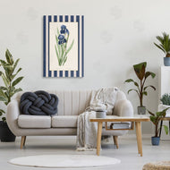 Corinne Haig | Iris Study over Stripes