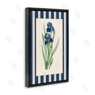 Corinne Haig | Iris Study over Stripes